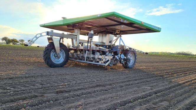 robot FarmDroïd, semis et désherbage